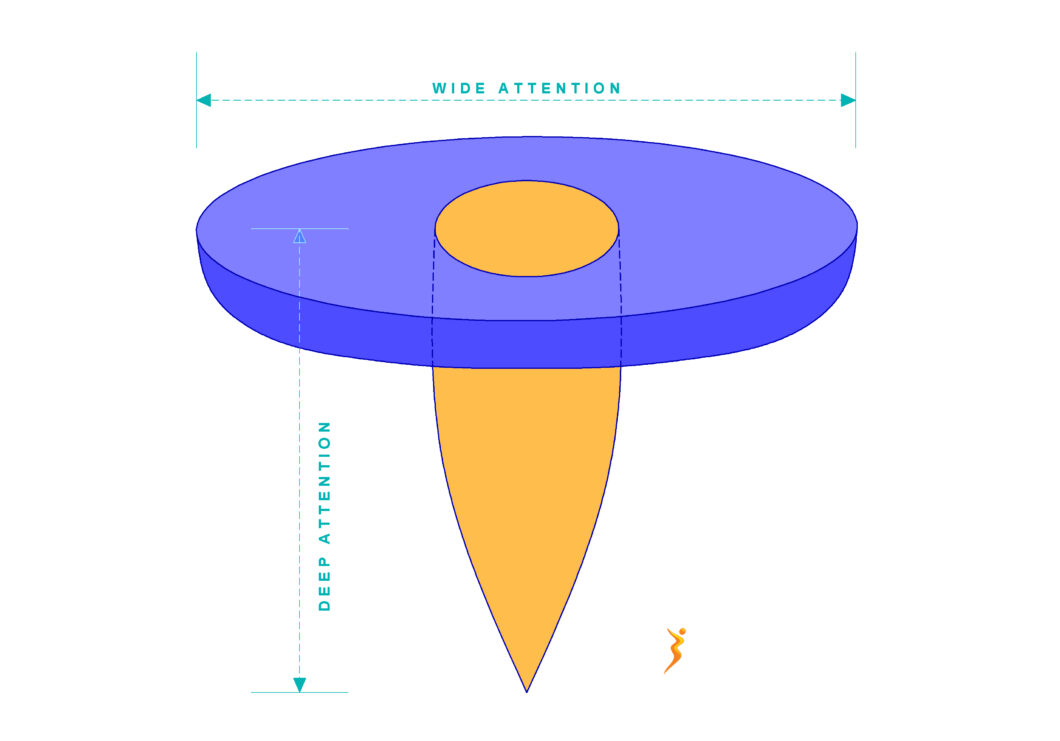Deep vs Wide Attention